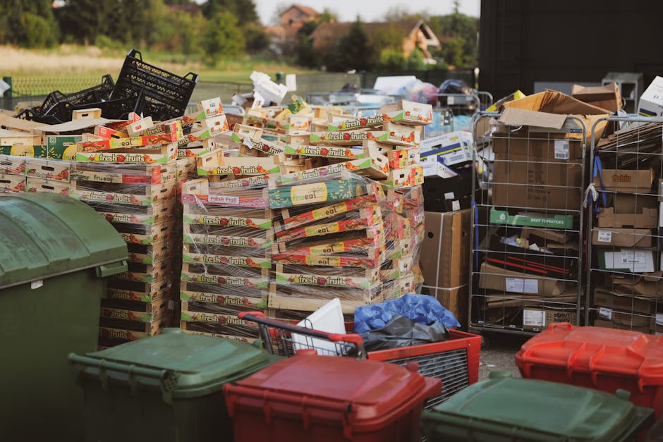 The image depicts an outdoor scene with a large collection of stacked cardboard boxes labeled 'fresh fruits' on the left side, arranged on a paved surface. These boxes are in good condition, with some slight creasing and colorful printed designs, and they are stacked several layers high. To the right of the boxes, there are multiple wire cages filled with miscellaneous packaging materials, including cardboard boxes, plastic containers, and smaller items, all organized within the cages. In the foreground, there are several closed plastic wheelie bins in shades of green and red, situated on the paved surface, with some lids slightly ajar or lying loosely. A red plastic shopping basket with metal handles is also present among the bins, containing a few scattered items. The background features a residential neighborhood with green trees, a fence, and rooftops of houses, under natural daylight. The scene suggests a private outdoor waste or recycling collection that may relate to a rubbish removal service specializing in domestic or commercial waste clearance, such as those offered by House Clearance Chiswick, with the environment diffused with natural light and minimal shadows, emphasizing the practical nature of waste collection without promotional intent.