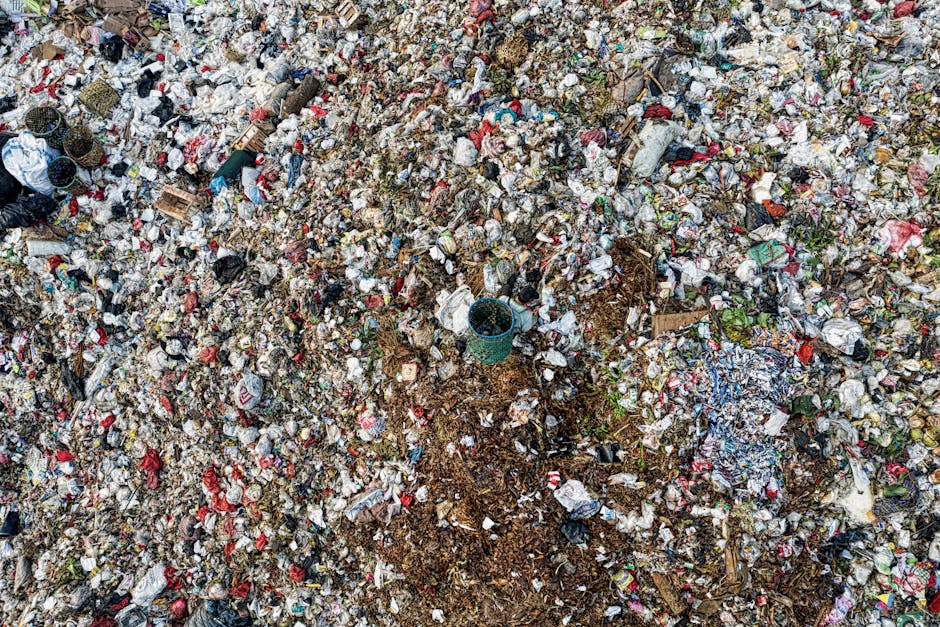 A close-up view of a green outdoor rubbish bin situated on a grassy area with a dirt pathway in the background. The bin has a rounded, dome-shaped lid partially transparent, revealing mixed waste including foil wrappers and plastic packaging inside. A blue plastic liner is visible around the opening, secured beneath the lid. The bin features a black icon of a recycling bin with a person disposal symbol on its front. The environment appears natural with soft sunlight illuminating the scene, and the bin is positioned on a metal post anchoring it to the ground. This setting exemplifies an independent waste disposal station, typical of private rubbish collection services that handle waste beyond local authority provisions, aligning subtly with themes of on-site clearance and alternative rubbish disposal services like those offered by House Clearance Chiswick.